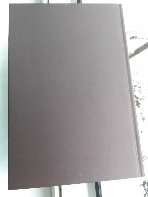 Kryžiaus karų epocha Baltijos regiono tautų istorinėje sąmonėje: mokslinių straipsnių rinkinys - Autorių Kolektyvas, knyga 4