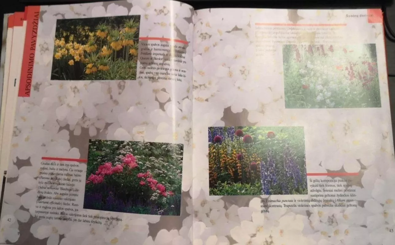 Sodas - Herta Simon, knyga 3