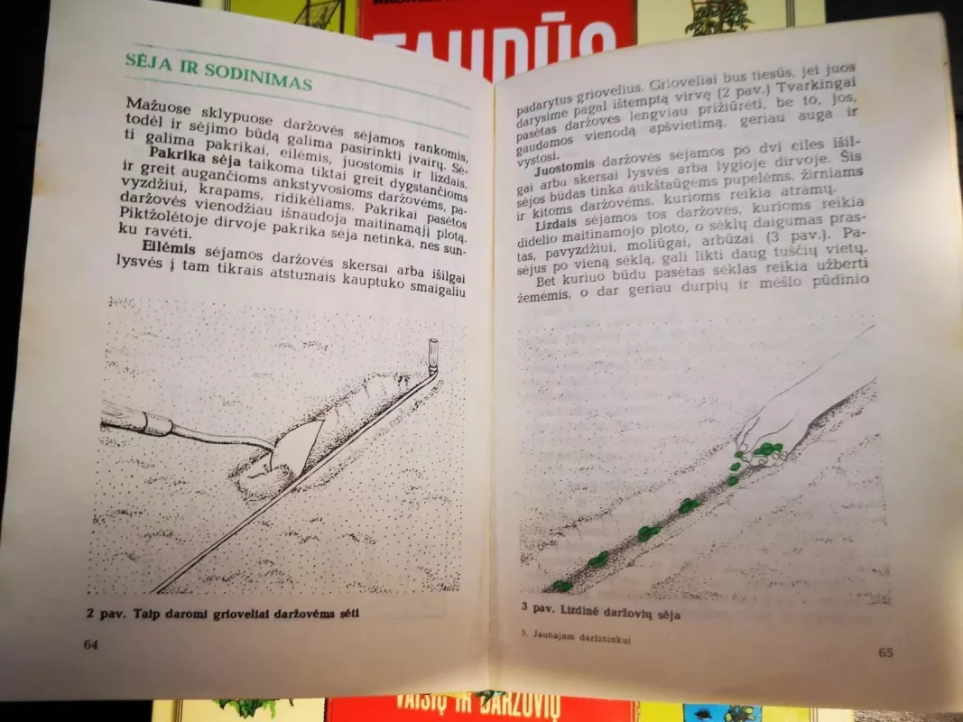 Jaunajam daržininkui - G. Visockienė, knyga 5