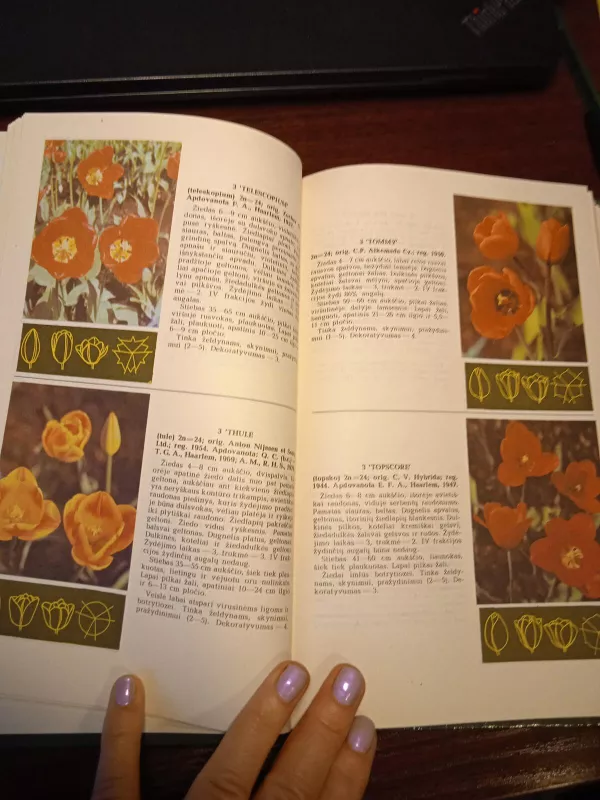 Tulpės - A. Baliūnienė, ir kiti , knyga 3