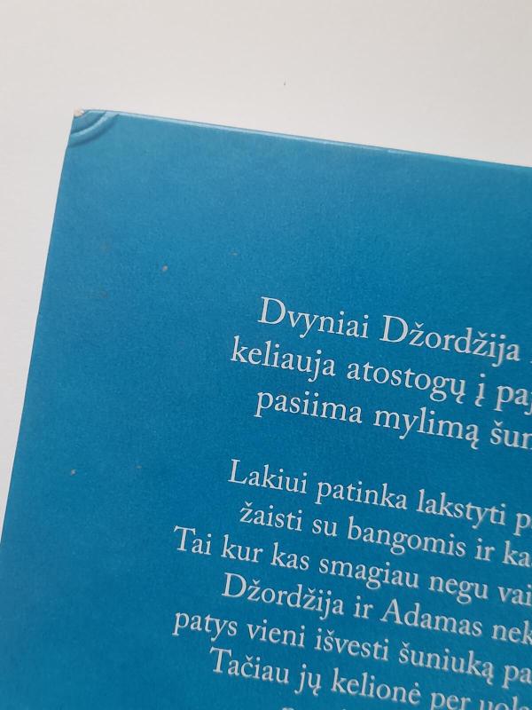 Išgelbėtas šuniukas - Holly Webb, knyga 2