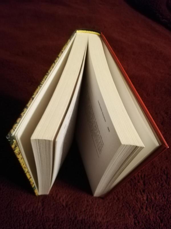 Juodaakės suzanos - Julia Heaberlin, knyga 3