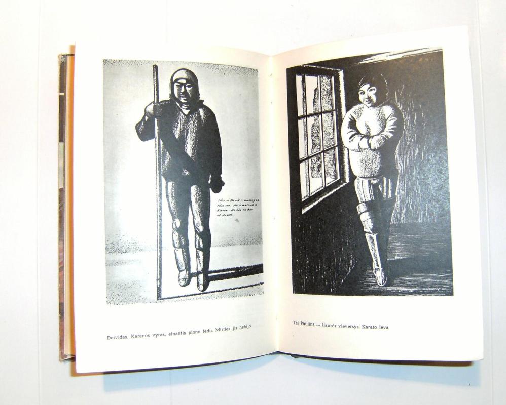 Salamina - Rokvelas Kentas, knyga 3