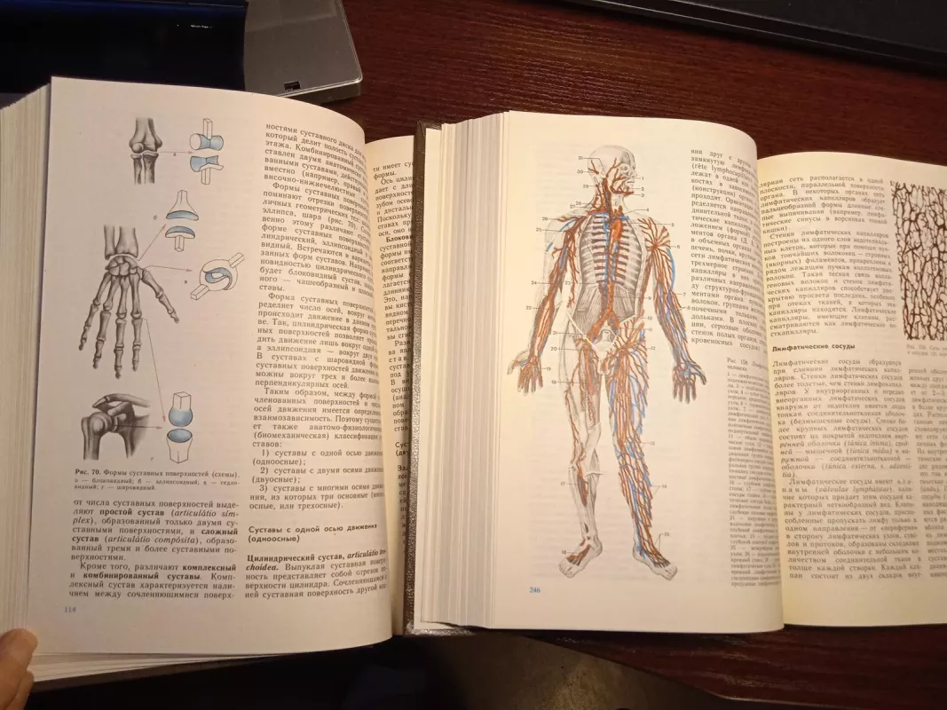 Anatomija čeloveka, I ir II tomai - M. R. Sapina, knyga 3