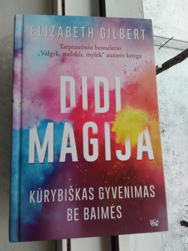 Didi magija: kūrybiškas gyvenimas be baimės - Elizabeth Gilbert, knyga 2
