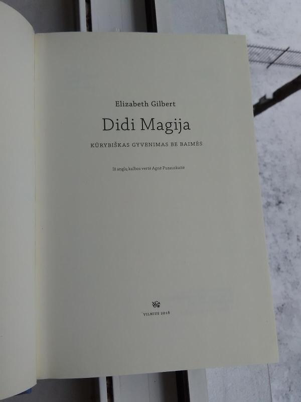 Didi magija: kūrybiškas gyvenimas be baimės - Elizabeth Gilbert, knyga 3