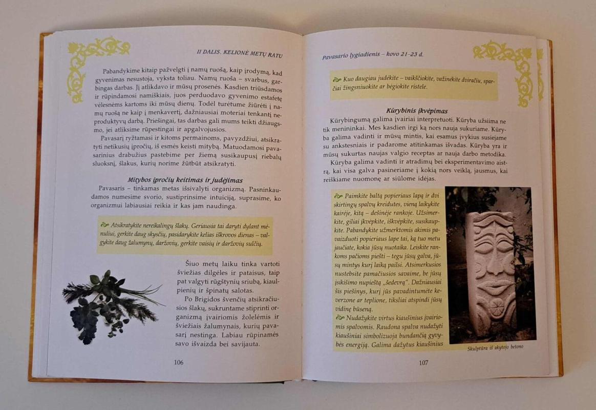 Kelionė metų ratu - Brigitta de las Heras, knyga 3