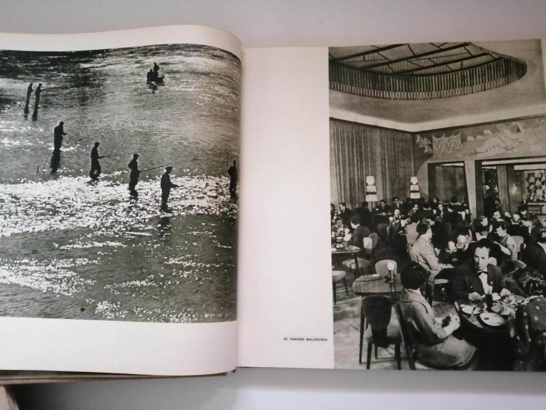 Lietuva šalis gražioji - Povilas Pukys, knyga 2