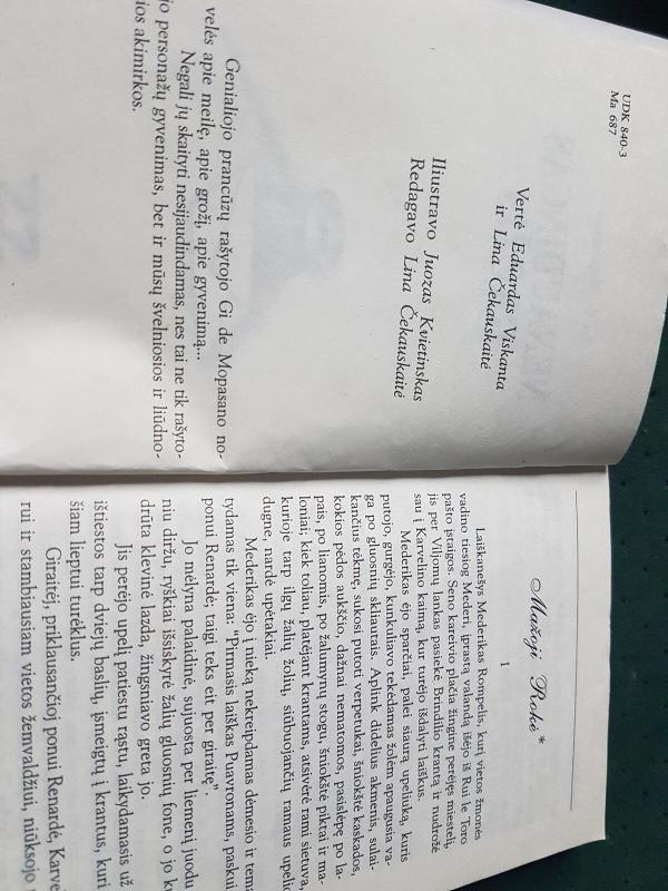 Nenaudingas grožis - Gi De Mopasanas, knyga 2