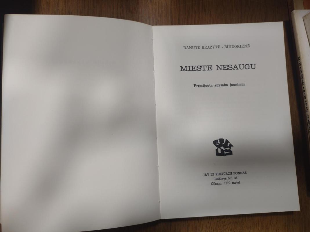 Mieste nesaugu - Danutė Brazytė-Bindokienė, knyga 2