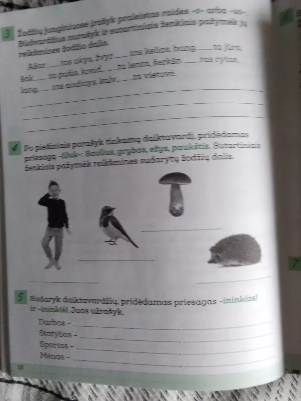 Gramatikos pratimai 4 klasė 1 d. - Levutė Karčiauskienė, knyga 4