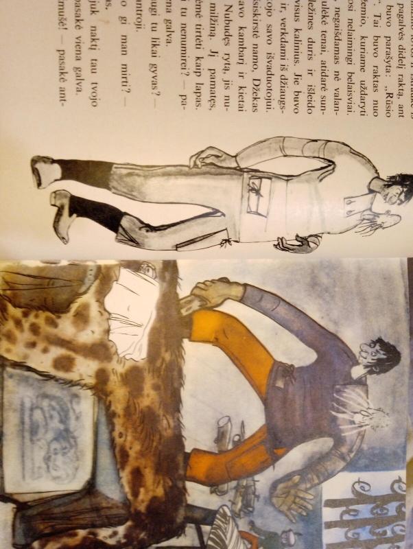 Džekas, milžinų nugalėtojas, ir kitos pasakos vaikams - Kornejus Čiukovskis, knyga 4