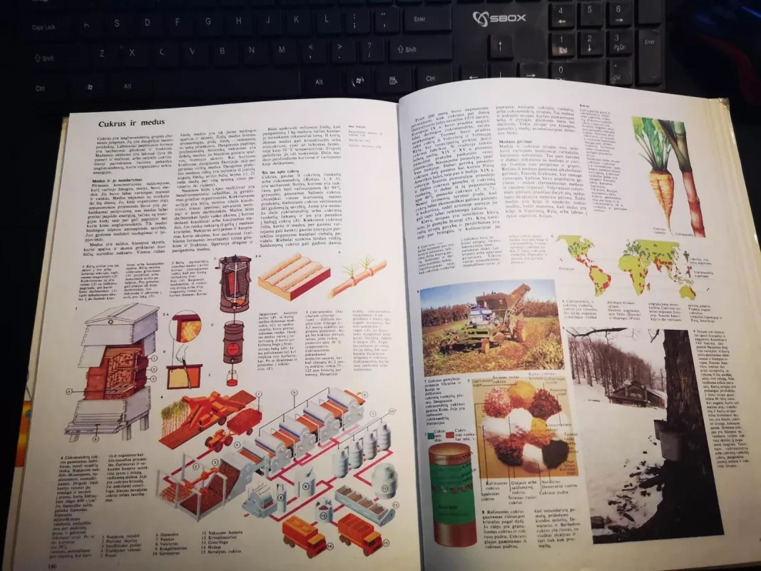 Žemė ir jos gėrybės - Džeimsas Mičelis, knyga 3