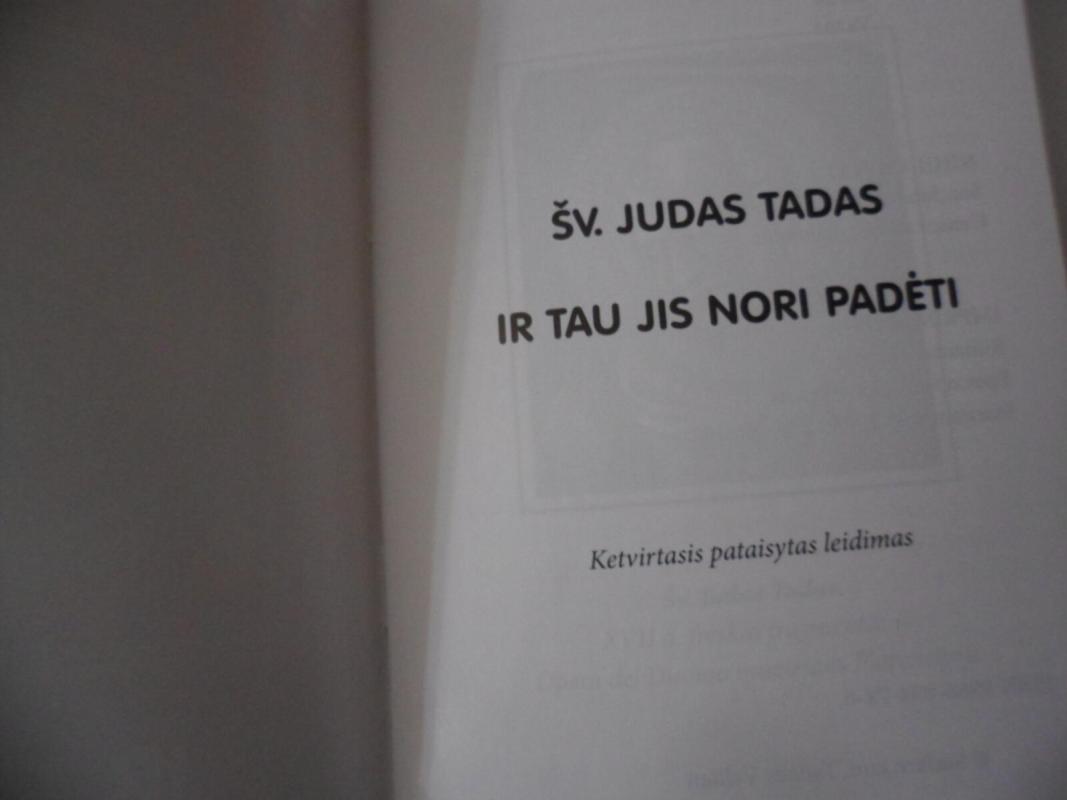 Šv. Judas Tadas ir tau jis nori padėti - Rimantas Norvila, knyga 5