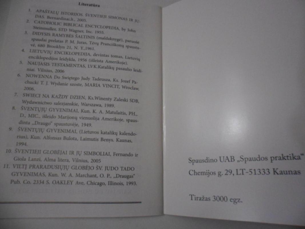 Šv. Judas Tadas ir tau jis nori padėti - Rimantas Norvila, knyga 3
