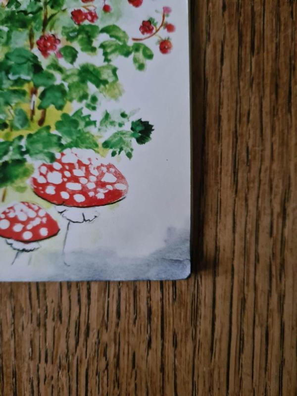 Lapė pagyrūnė - Autorių Kolektyvas, knyga 5