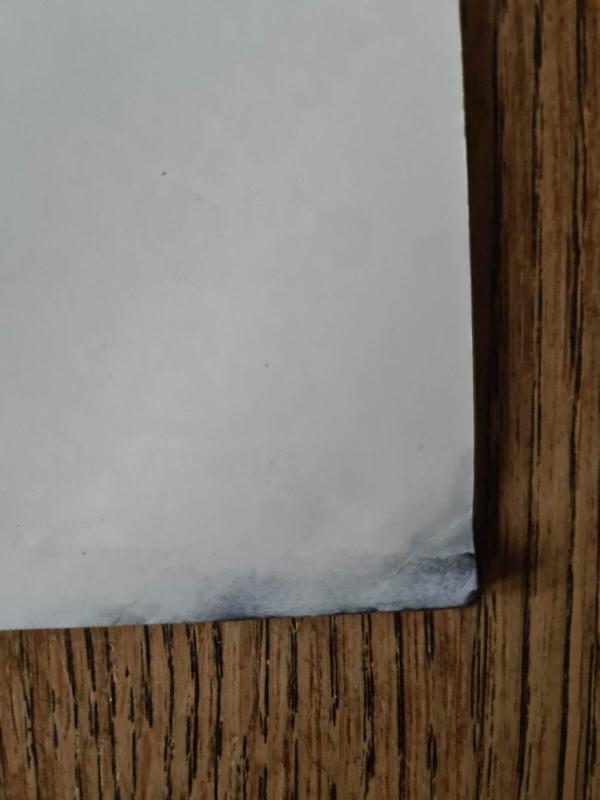 Lapė pagyrūnė - Autorių Kolektyvas, knyga 4