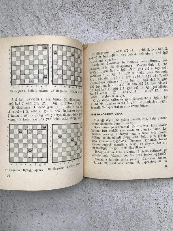 Žaidžiame šaškėmis - V. Gorodeckis, knyga 4