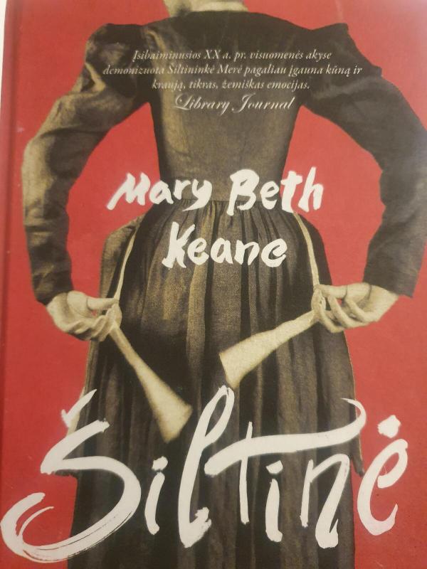 Šiltinė - Mary Beth Keane, knyga 3