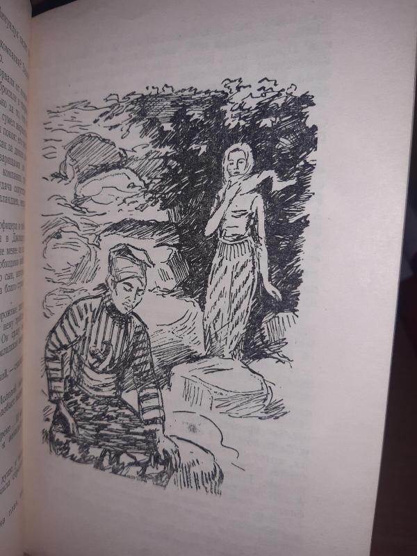 Surapati - Abdul Muis, knyga 2