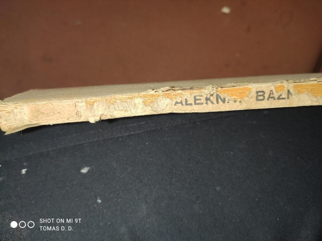 Bažnyčios istorija - Antanas Alekna, knyga 3