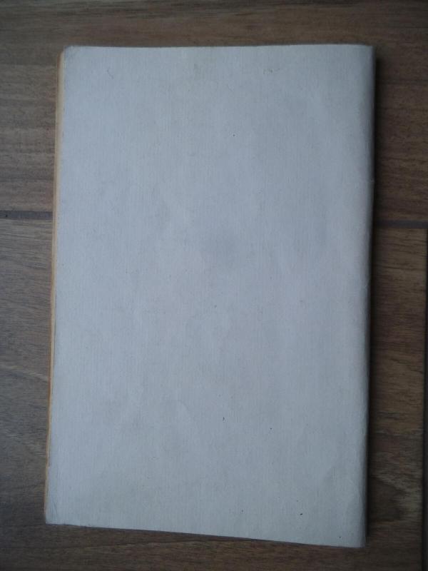 Vilties ir gėlos ūkanose - Antanas Šimėnas, knyga 2