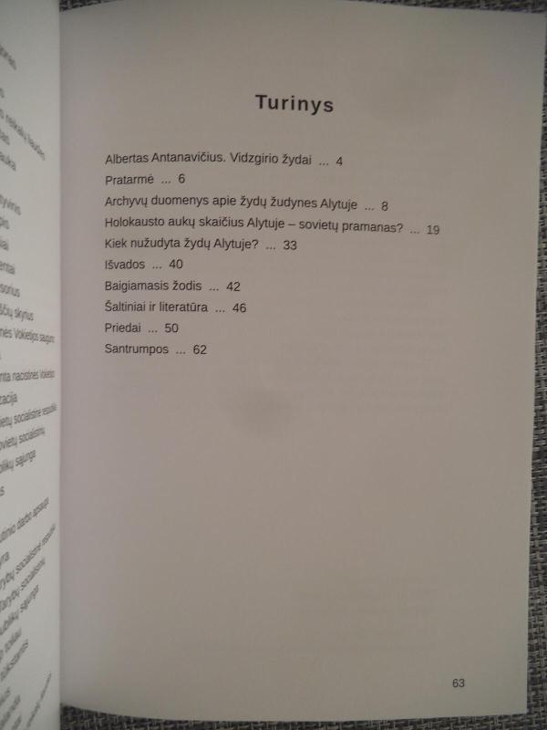 1941 m. holokausto aukų Alytuje skaičių pinklėse - Gintaras Lučinskas, knyga 4