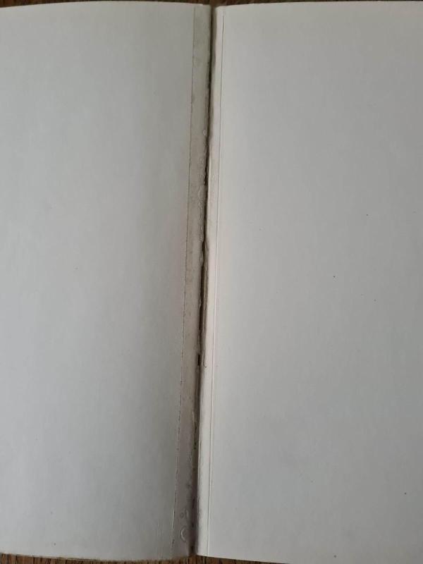 Ogród przy domu - Julian Grzegory, knyga 5