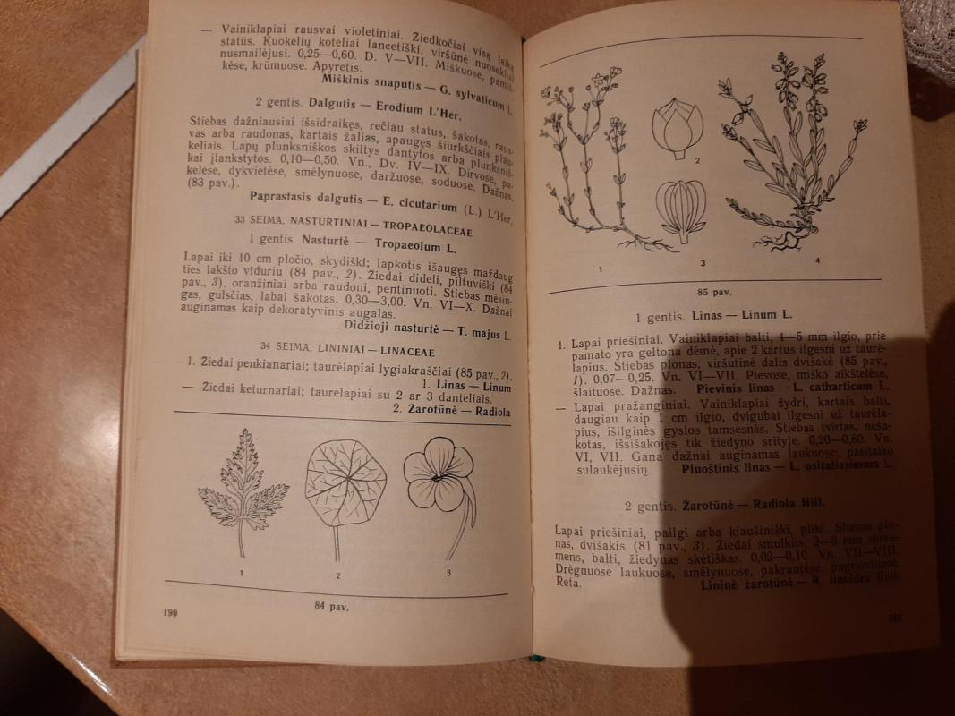 Miško tipų nustatymas pagal augalus indikatorius - Autorių Kolektyvas, knyga 3