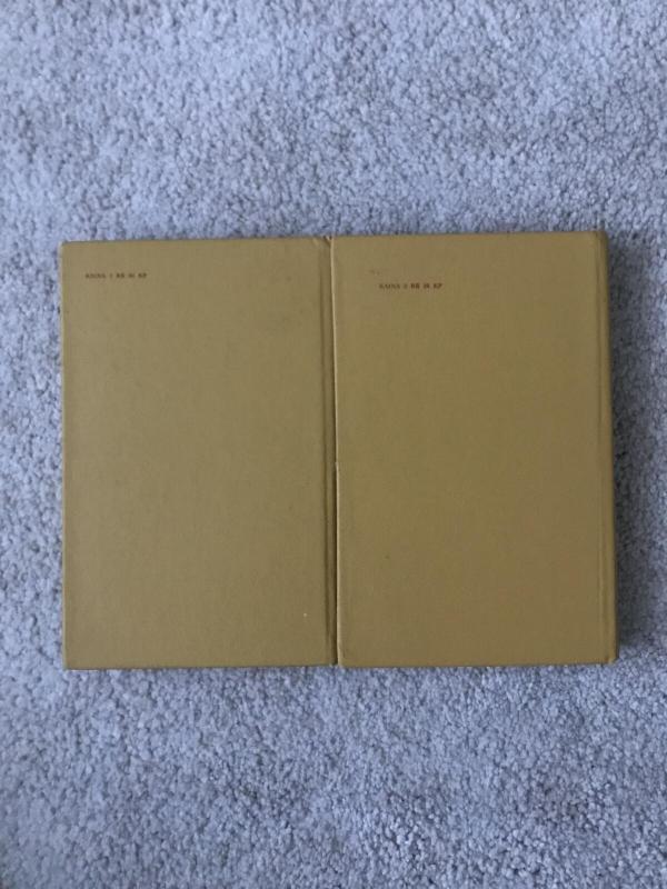 Užburtas kalnas - Thomas Mann, knyga 2