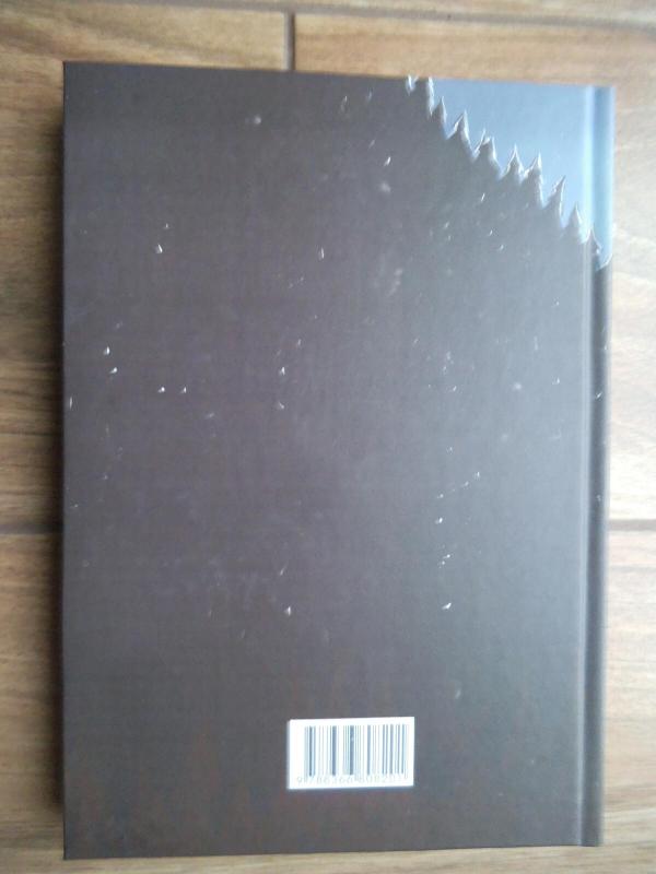 Dainavos apygardos vadas Vincas Daunoras-Kelmas, Ungurys ir jo artimieji - Rita Pauliukaitienė, knyga 2