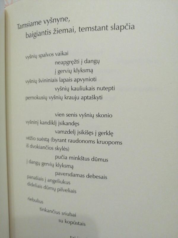 Miego meistras - Jonas Kalinauskas, knyga 2