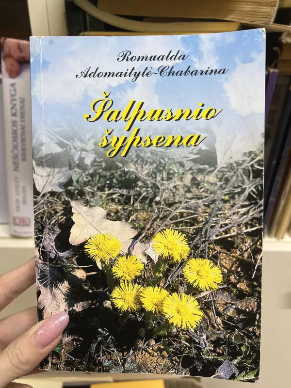 Šalpusnio šypsena - Romualda Adomaitytė-Chabarina, knyga