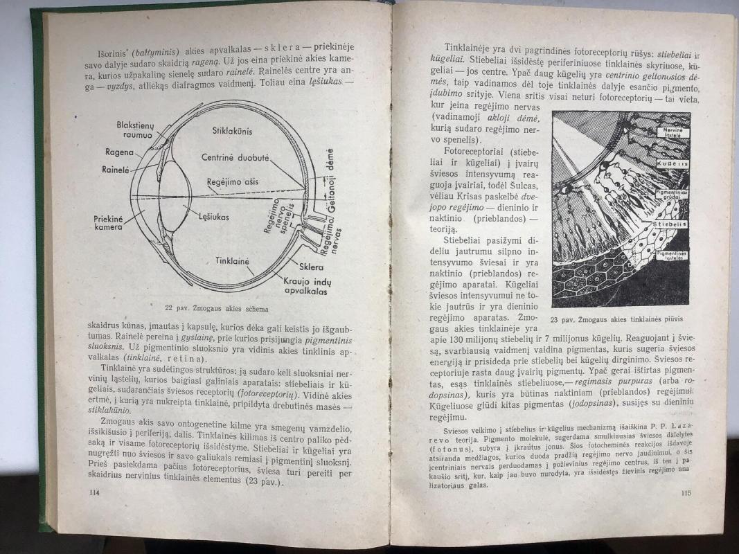 Psichologija - A. Smirnovas, knyga 4