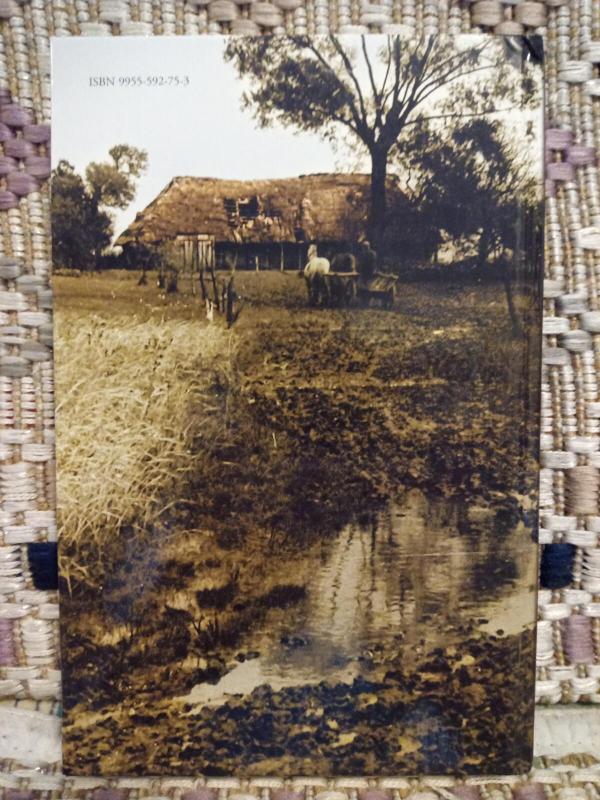 Karalių kaimas - Jurgis Usinavičius, knyga 3