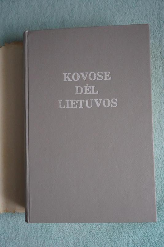 Kovose dėl Lietuvos (II tomas) - Stasys Raštikis, knyga 3