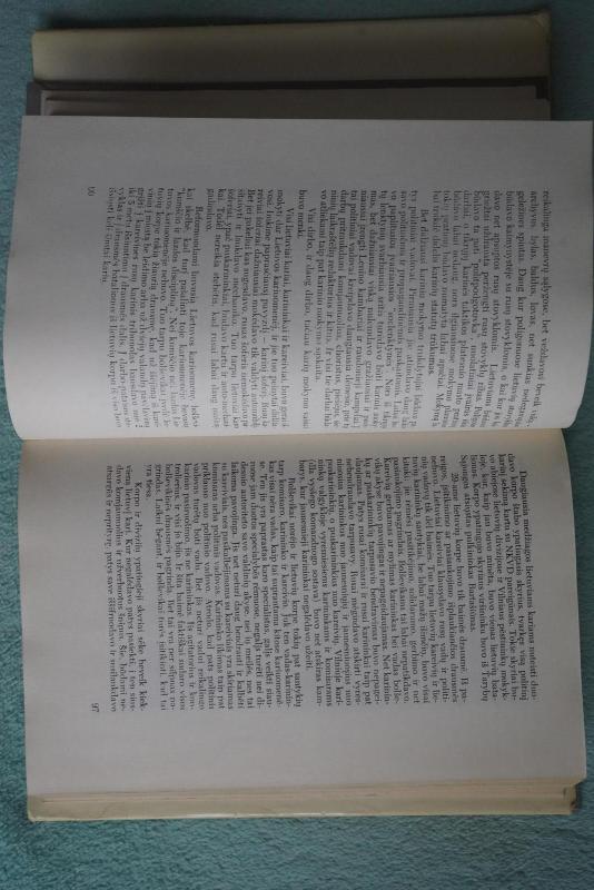 Kovose dėl Lietuvos (II tomas) - Stasys Raštikis, knyga 2