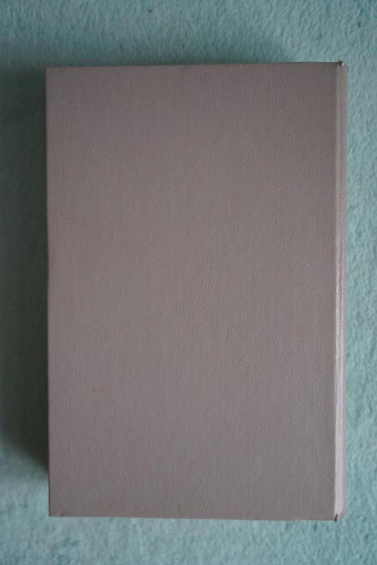 Kovose dėl Lietuvos (I tomas) - Stasys Raštikis, knyga 3