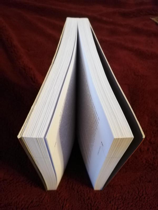 Pasaulis jų akimis: pokalbiai iš esmės - Ignas Staškevičius, knyga 3