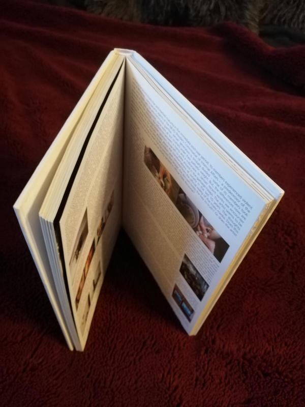 Emisija 2004 - ŠMC - Autorių Kolektyvas, knyga 2