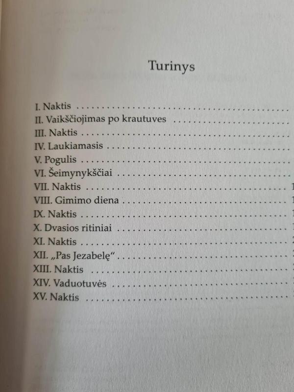 Tarnaitės pasakojimas - Margaret Atwood, knyga 4