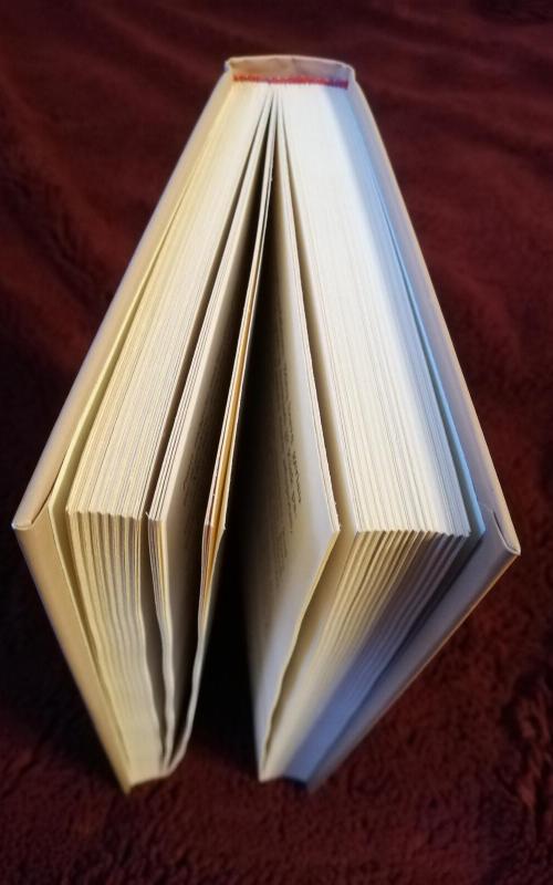 Pilis yra-ieškom princo - Susanna Kubelka, knyga 2