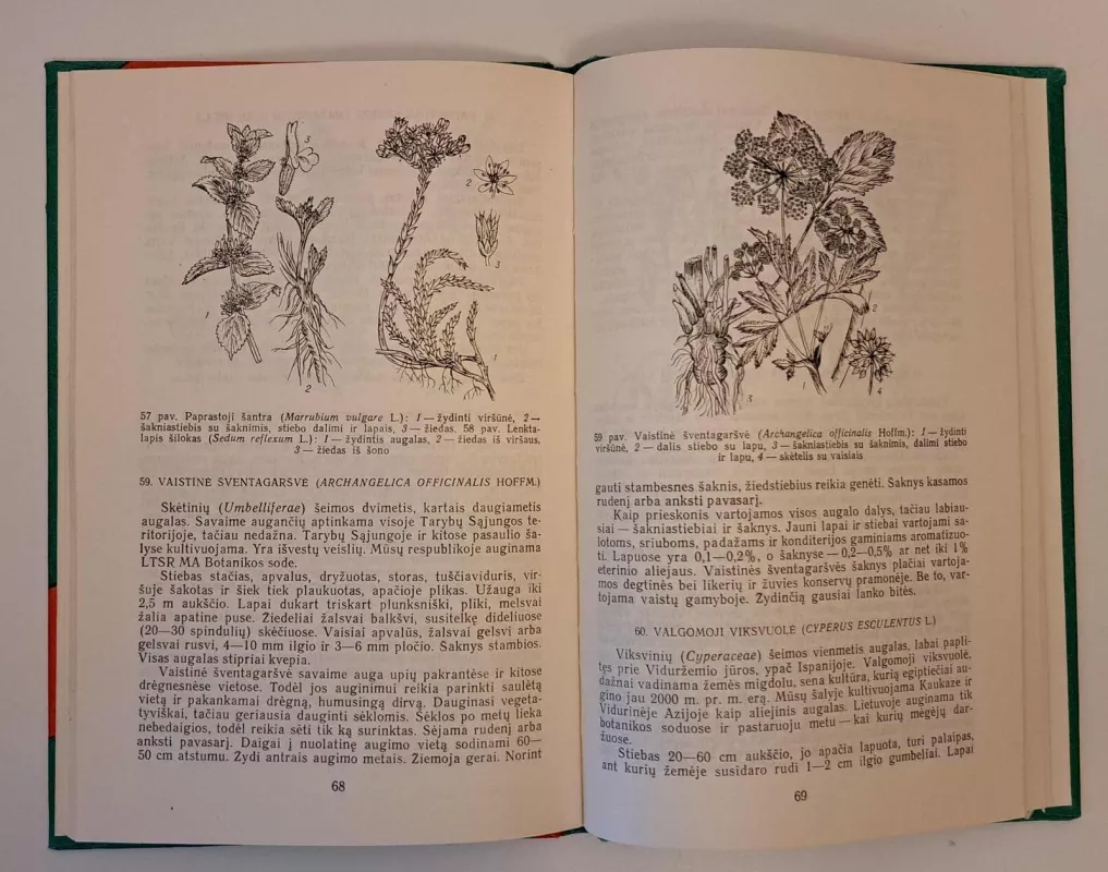 Prieskoniniai augalai - S. Dagytė, E.  Penkauskienė, knyga 4