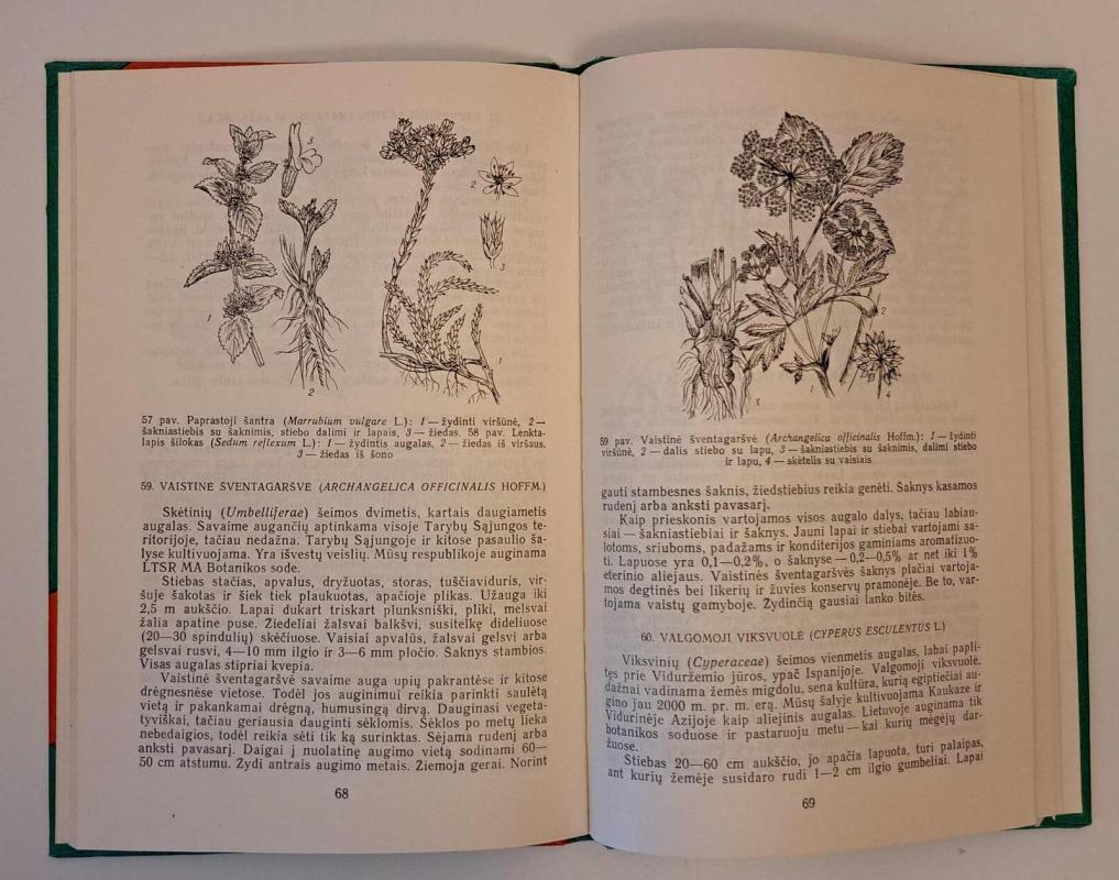 Prieskoniniai augalai - S. Dagytė, E.  Penkauskienė, knyga 4