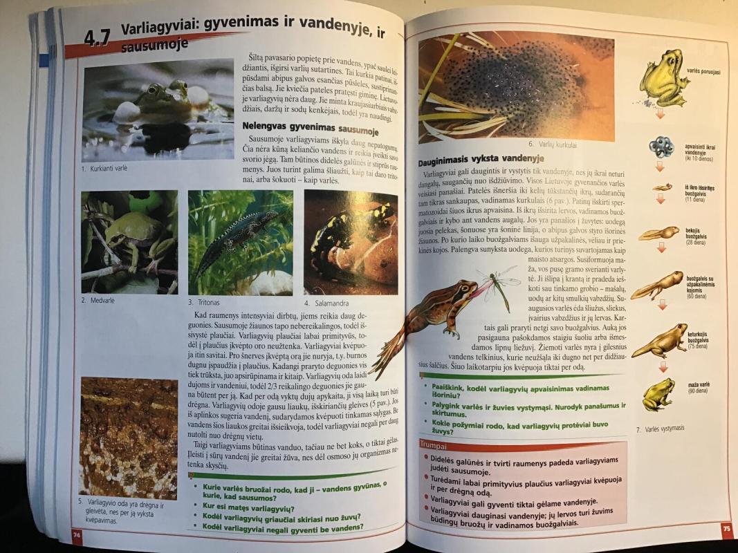 Biologija 8 kl. - Petras Kazickas, Leonora  Žilėnienė, knyga 2