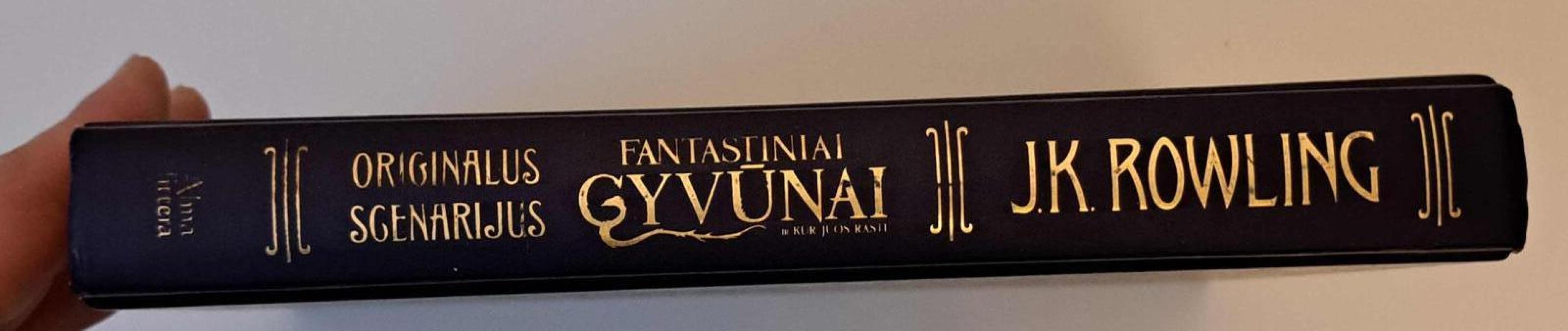 Fantastiniai gyvūnai ir kur juos rasti. Originalus scenarijus - Rowling J. K., knyga 4