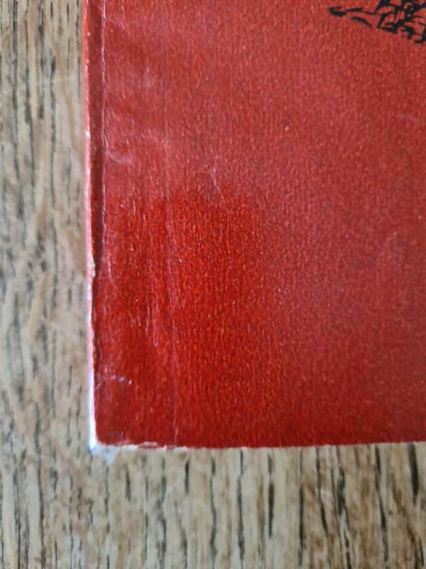 Niekieno žemėje - Milanas Rufus, knyga 4