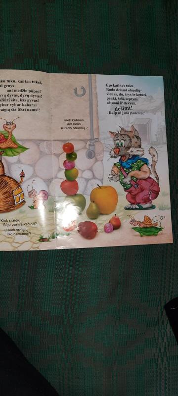 Skaičių knyga - Autorių Kolektyvas, knyga 3