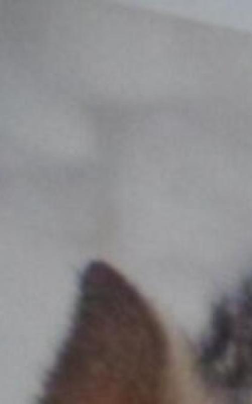 Mano akys regi tik tave - David Baird, knyga 3