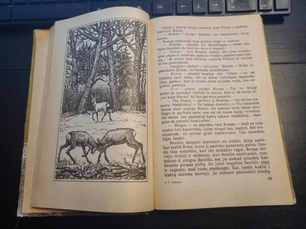 Bembis. Bembio vaikai - Feliksas Zaltenas, knyga 5